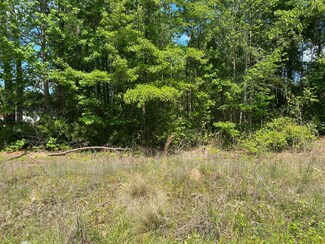 1070 Schurlknight Rd, Saint Stephen, SC 29479