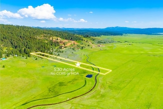 TBD Finlandia Rd, Donnelly, ID 83638