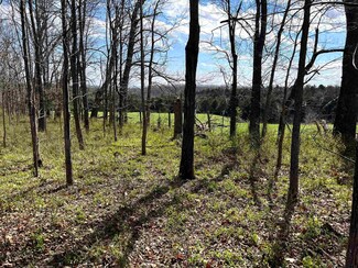 tbd Knightly Ln, Mount Sidney, VA 24467