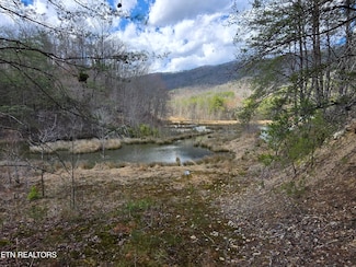 0 Steve Brown Rd Unit 1230331, Bean Station, TN 37708