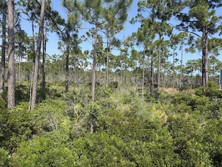 Lot 6 Sr 30-A, Cape San Blas, FL 32456