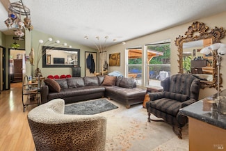 65001 Drive Thru Tree Rd, Leggett, CA 95585