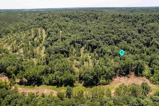 Tract 3 County Road 126, Waterloo, AL 35677