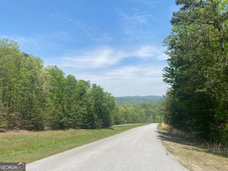 133 Lakeview Walk, Baldwin, GA 30511