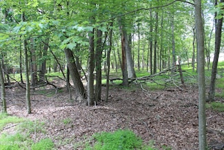 Lot 28 N Forrest Dr, Gold Key Lake, PA 18337