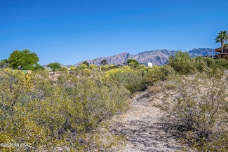 4627 E Coachlight Ln Unit 10, Catalina Foothills, AZ 85718