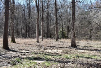 412 Lakewood Dr E, Jackson, TN 38305