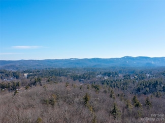 102 Bollers Knob Ln Unit 91, Hendersonville, NC 28739