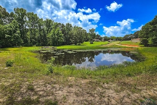14384 County Road 2125 Unit 14384 N CR 2125, Lake Cherokee, TX 75652