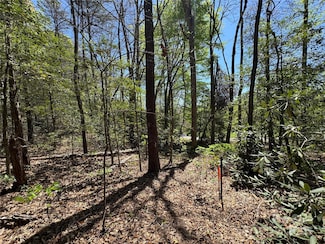 60 E Spring Wheel Dr, Old Fort, NC 28762
