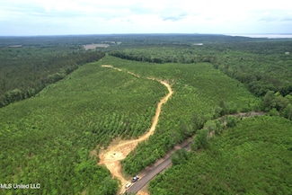 0 Alice Williams Rd, Gore Springs, MS 38929
