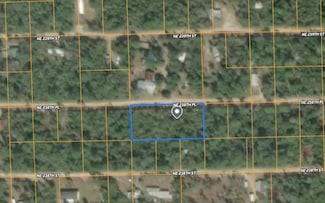 25 NE 238th Place, Fort Mc Coy, FL 32134