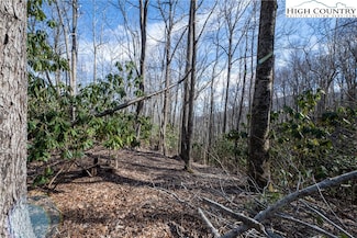 TBD Little Laurel Rd, Boone, NC 28607