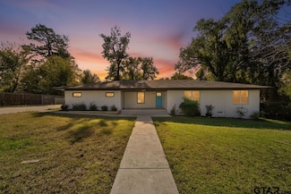 203 W Jordan St, Grand Saline, TX 75140