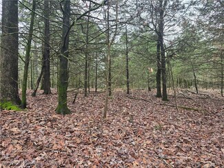 TBD Rigsby Rd, Magazine, AR 72943