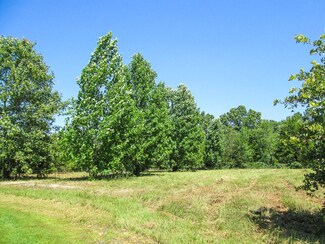 Tba Forest Dr, Theodosia, MO 65761