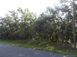 527 N Grandview Ave, Hernando, FL 34442
