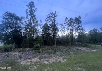 TBD Gulliver Dr, Chipley, FL 32428