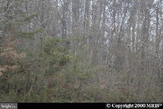 0 Darcy Unit MDPG2162328, Upper Marlboro, MD 20774