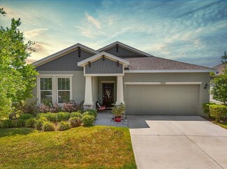 11931 Bahia Valley Dr, Riverview, FL 33579