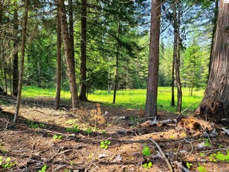 1 Green Bay Rd, Sagle, ID 83860