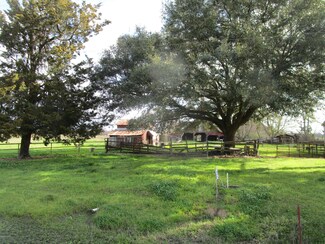 2849 Faubourg Rd, Ville Platte, LA 70586