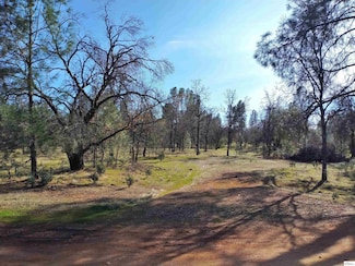 Lot 5 Palm Ave, Happy Valley, CA 96007