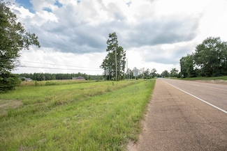 0 Tbd Hwy 8 & 464 Unit 29-1650, Leesville, LA 71446