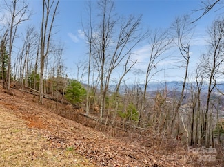 99999 Serenity Ridge Trail Unit 35, Woodfin, NC 28804
