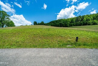 Lot #14 Silver Oak Trail, Butler, TN 37640