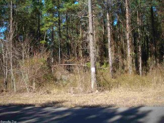 0 Ore Trail Unit 17003004, Bauxite, AR 72011