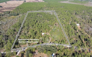 1032 SW Van Buren Rd, Mayo, FL 32066