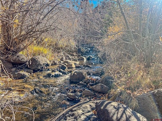 Lot 1 2500 Rd, Cedaredge, CO 81413