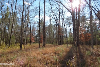 109 Winding Creek Dr, Oriental, NC 28571