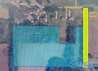 19 acres Carters Gin Rd, Toney, AL 35773