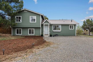 826 E Tamarack Dr, Bayfield, CO 81122