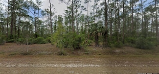 2305 Columbus Ave, Alva, FL 33920