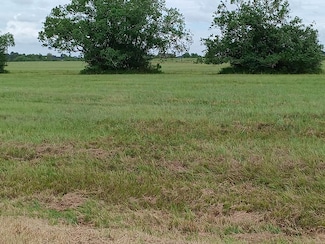 00 Brahman Trail, Angleton, TX 77515