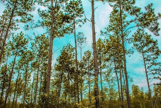 0 Ben Dunn Rd, Hudson, TX 75904