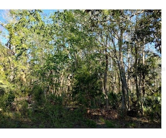 0 Indian Bay Rd Unit MFRW7873429, Spring Hill, FL 34607