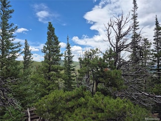 1900 County Road 128j, Nederland, CO 80466