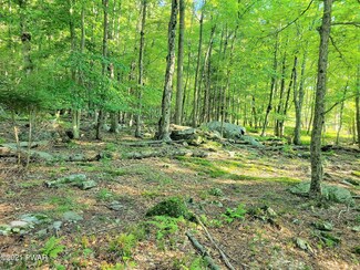194 King Arthurs Ct, Oregon Township, PA 18431