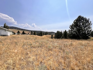 0 Tbd Sandpiper Way, Republic, WA 99166