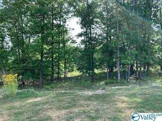 35 Watson Grande Way, Owens Cross Roads, AL 35748