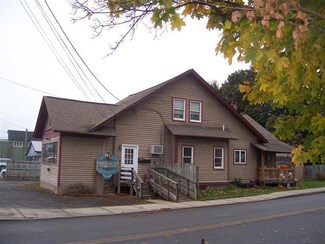 382 Chestnut St, Oneonta, NY 13820
