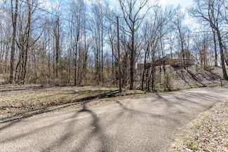 000 Salt Ln, Savannah, TN 38372