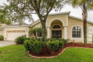 11407 Blue Lilac Ave, Riverview, FL 33578