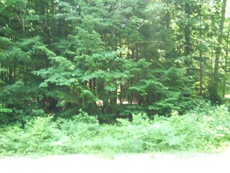 Lot 18 Robert St, Buxton, ME 04093