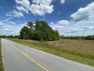 0 Alonzo Rd Unit 23372301, Saint George, SC 29477