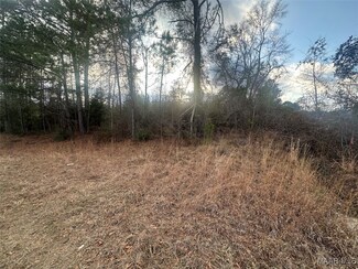 0 Alabama 167 Unit 553044, Jack, AL